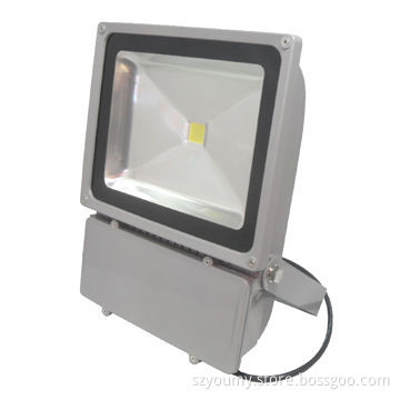Commercial Floodlight, Silver Shell, IP65, 85-265V AC, Aluminum Body, with 100W Power, Pure White
